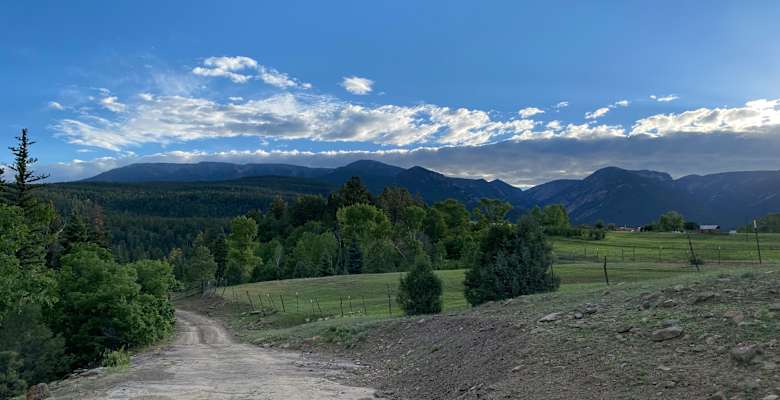 Picture of the land