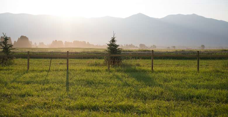 Picture of the land