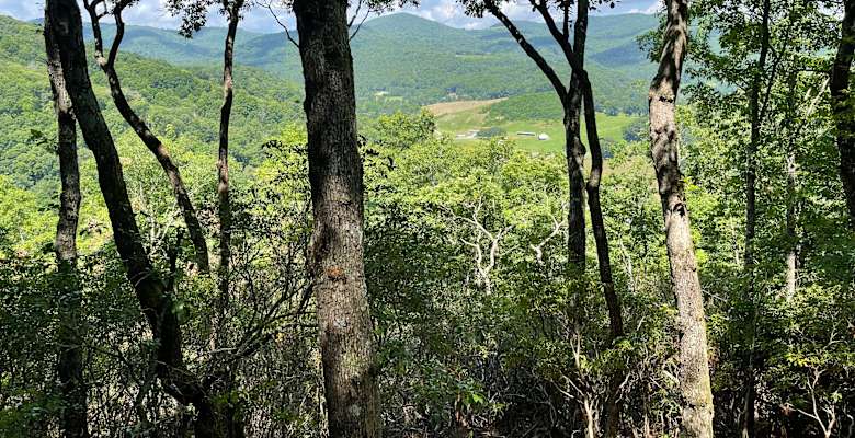 Picture of the land