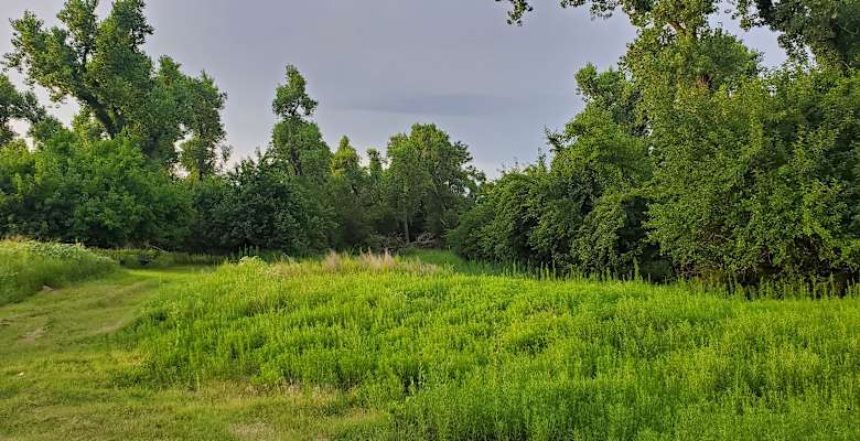Picture of the land