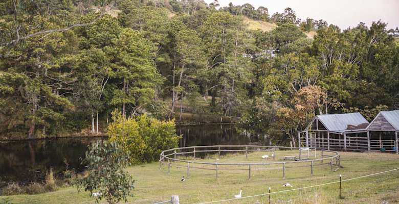 Picture of the land