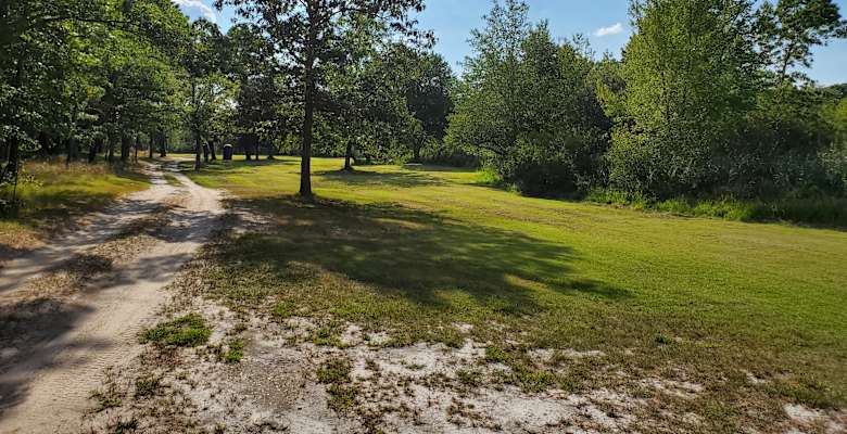 Picture of the land