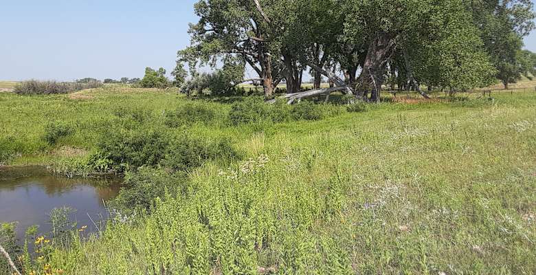 Picture of the land