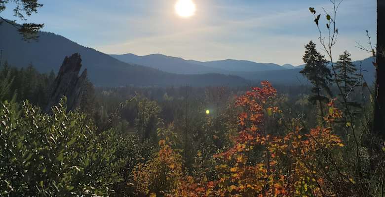 Picture of the land