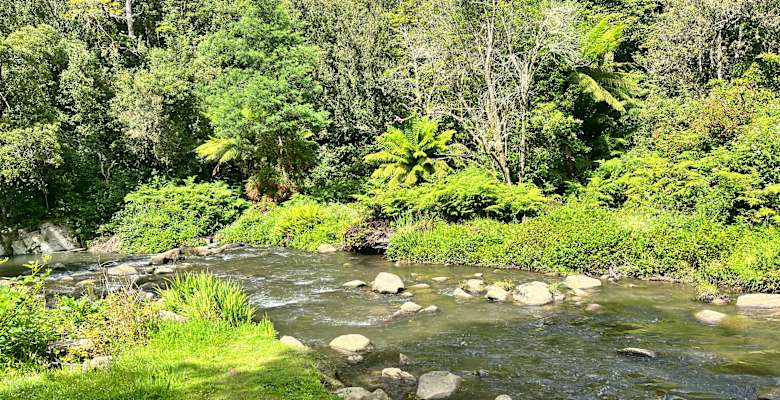 Picture of the land