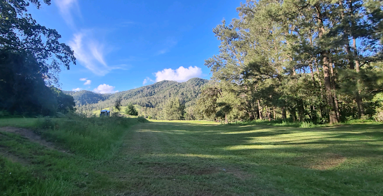 Picture of the land