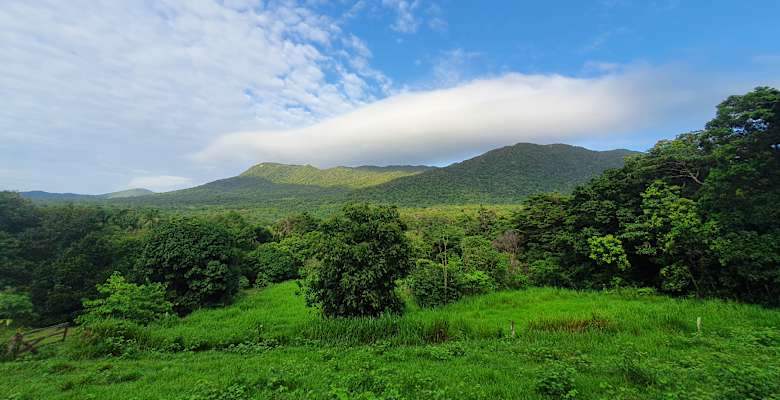 Picture of the land