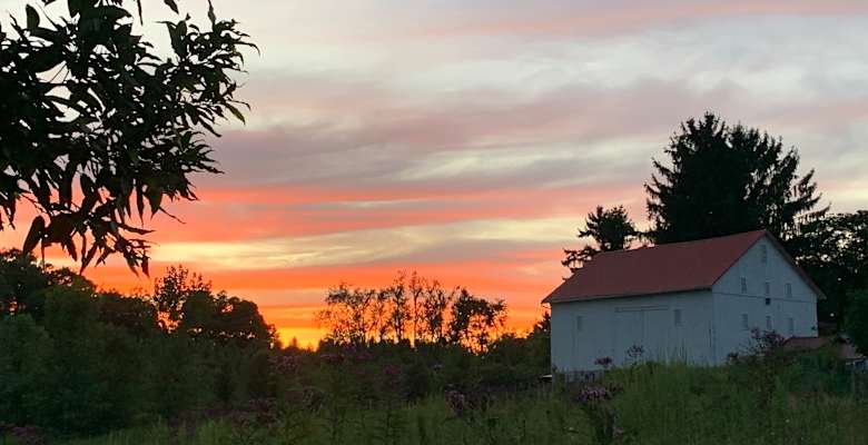 Picture of the land