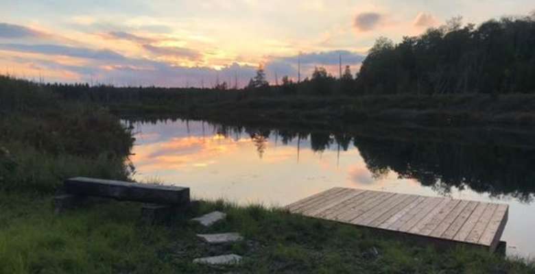 Picture of the land