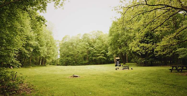 Picture of the land