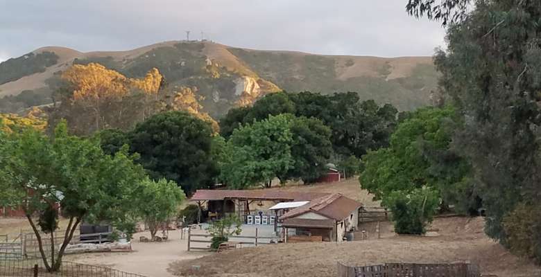 Picture of the land
