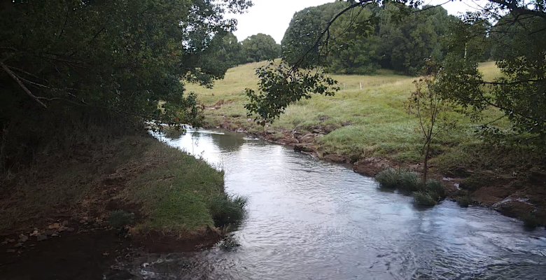 Picture of the land