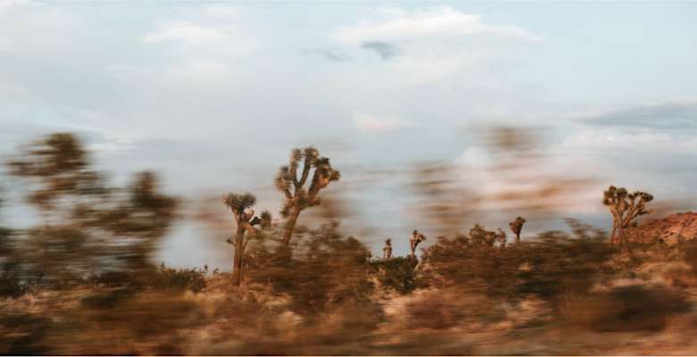 Picture of the land
