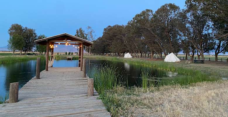 Picture of the land