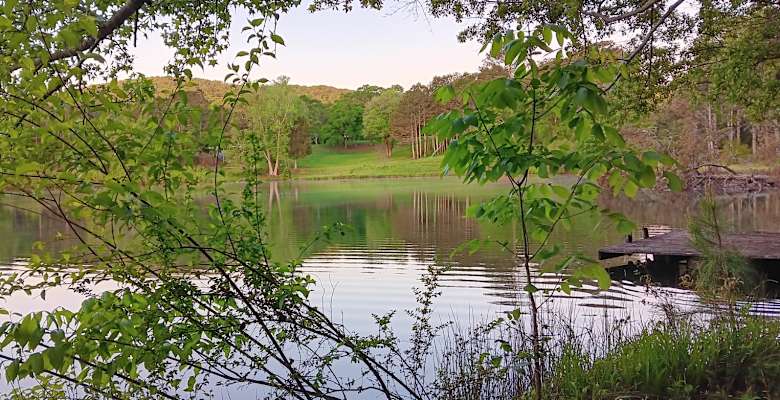 Picture of the land