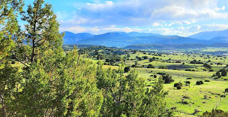 Picture of the land