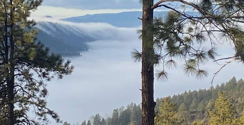 Picture of the land
