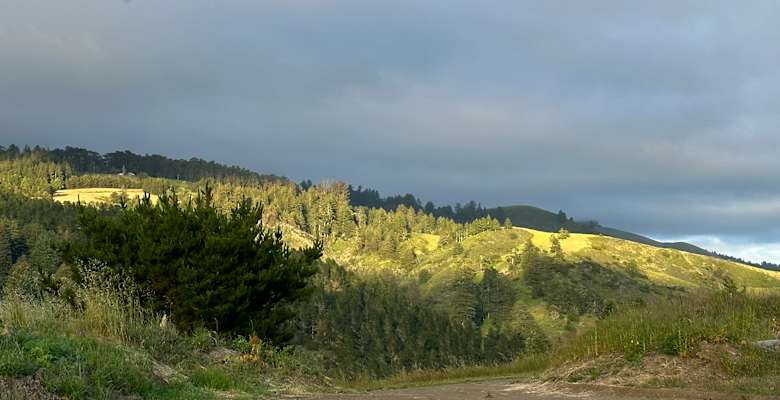 Picture of the land