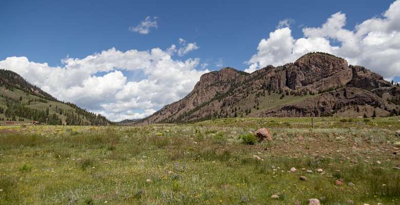 Picture of the land