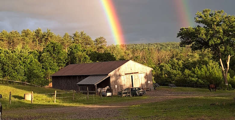 Picture of the land
