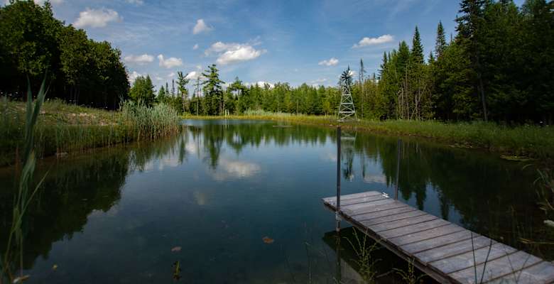 Picture of the land