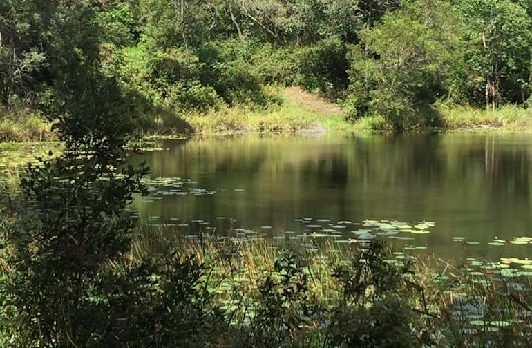 Camping Near Sunshine Coast The 20 Best Campgrounds Hipcamp