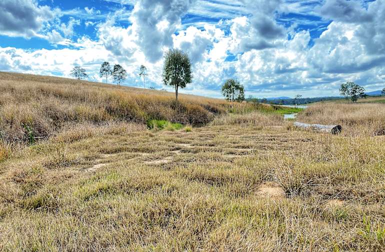Oz Sky Ranch Camping