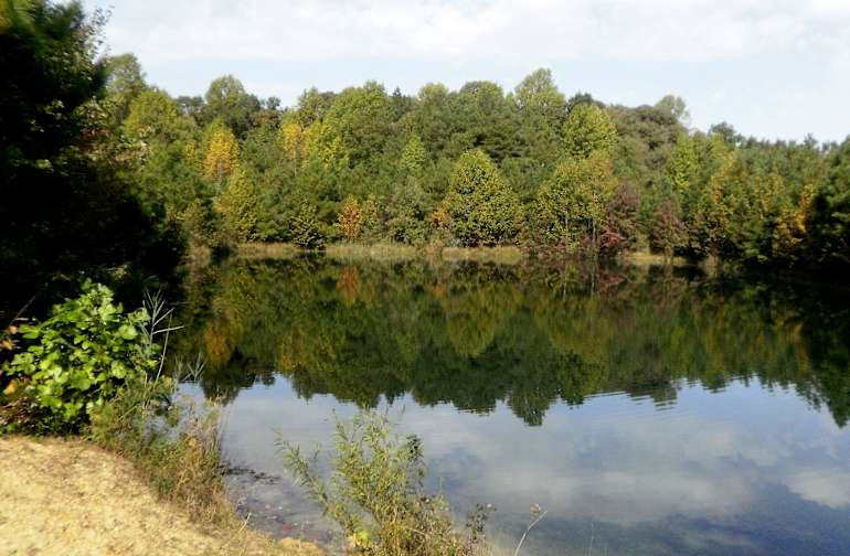 Best Camping In And Near Tuckahoe State Park