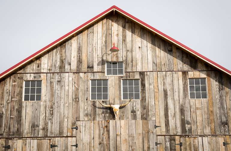 The 30 Best Cabin Rentals In Virginia