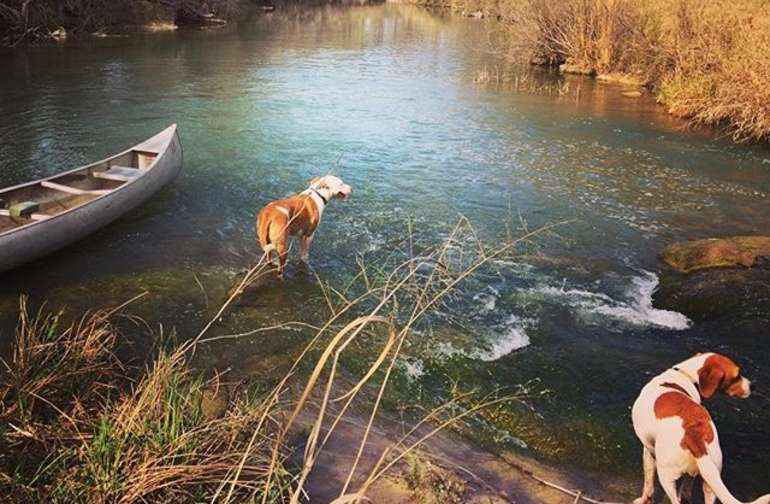 The 30 Best Swimming Hole Campgrounds Near San Angelo Texas