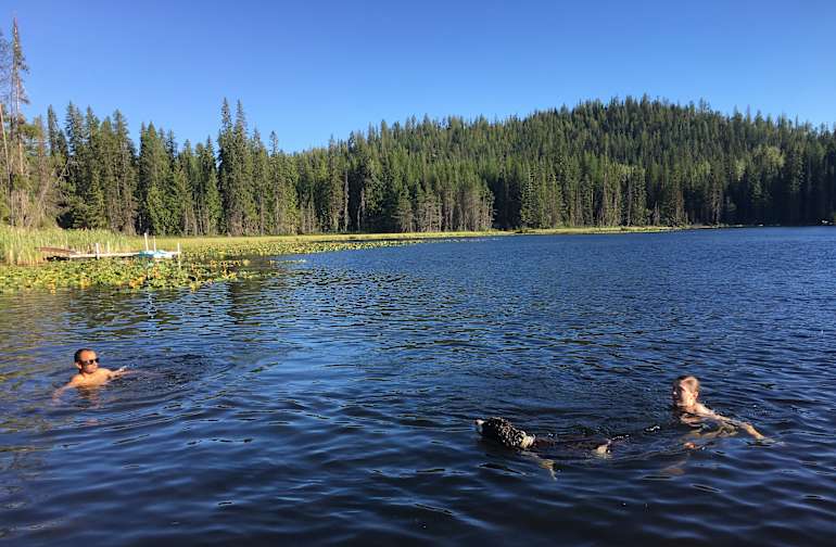 Best Camping In And Near Colville National Forest