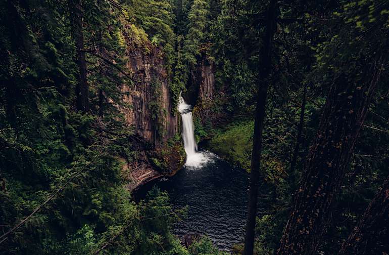 30 Camping Ideas In And Near Willamette National Forest
