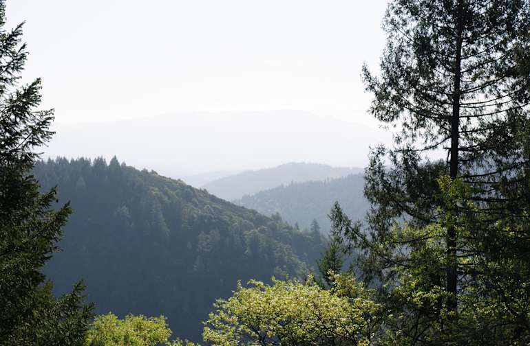 The 30 Best Campgrounds Near Ukiah California