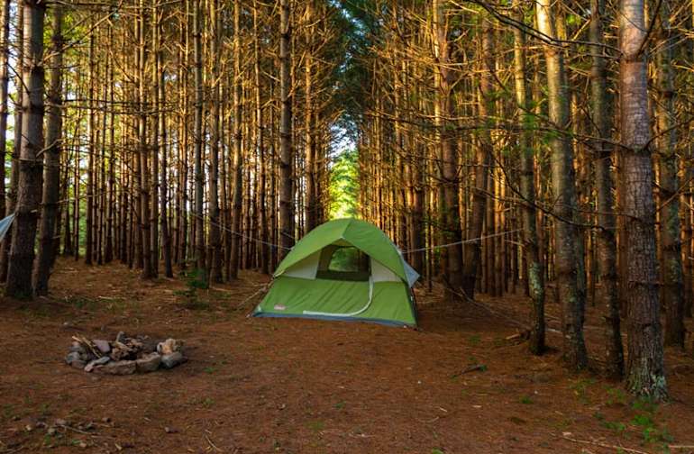 The 30 Best Campgrounds Near Chickamauga Lake Tennessee
