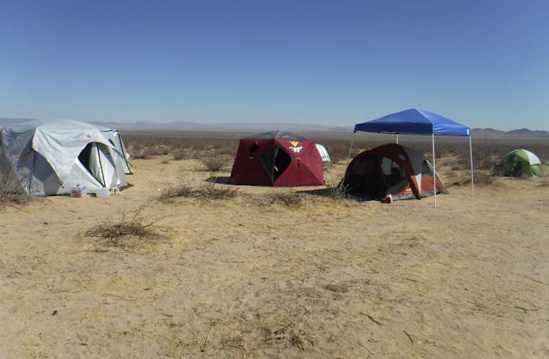 Night Jar Oasis Camping