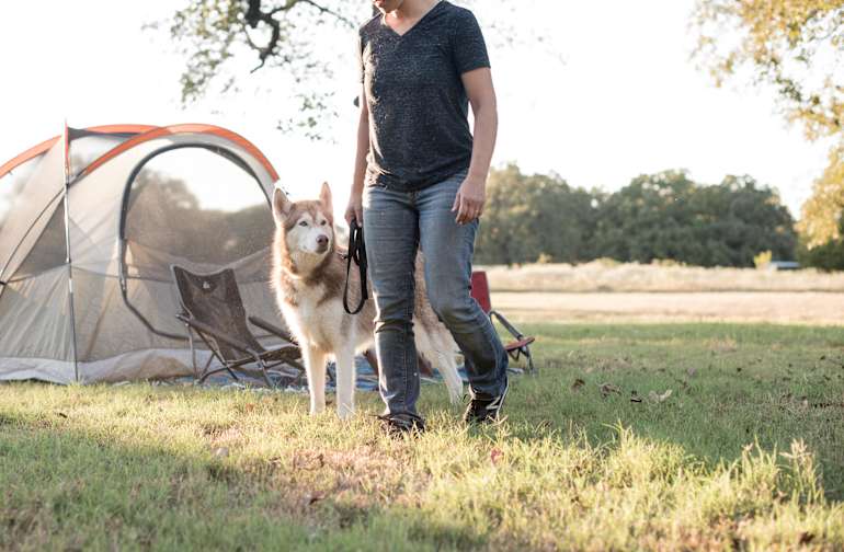 The 30 Best Campgrounds Near Dallas Texas