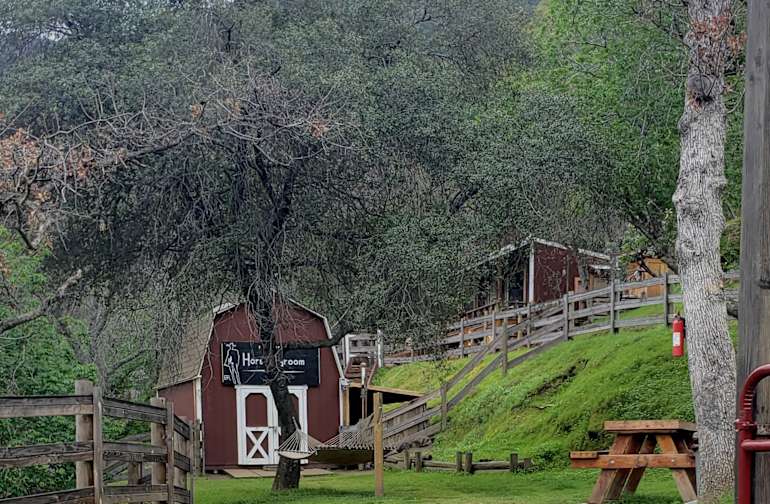 Best Camping In And Near Kings Canyon National Park