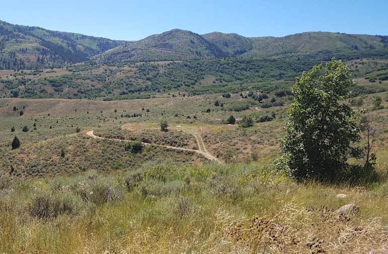 The 30 Best Campgrounds Near Wolf Creek Utah