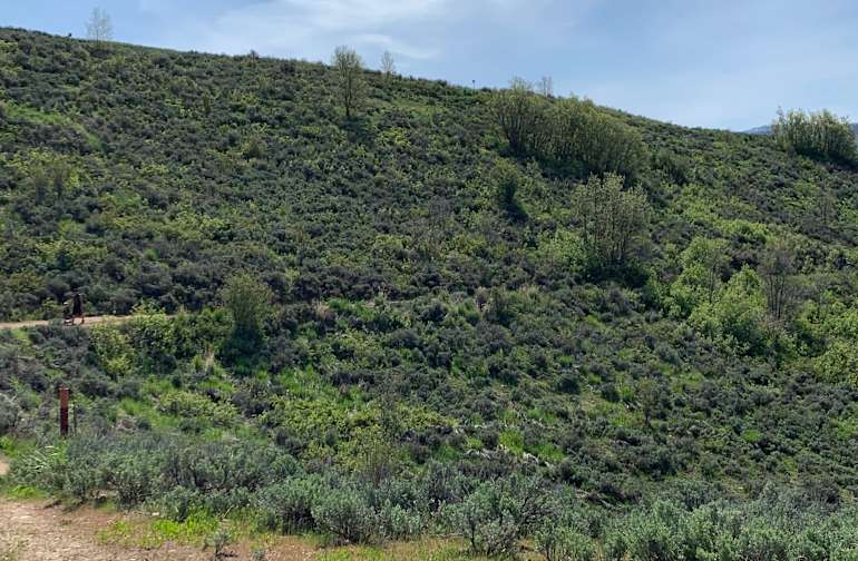 The 30 Best Campgrounds Near Salt Lake City Utah