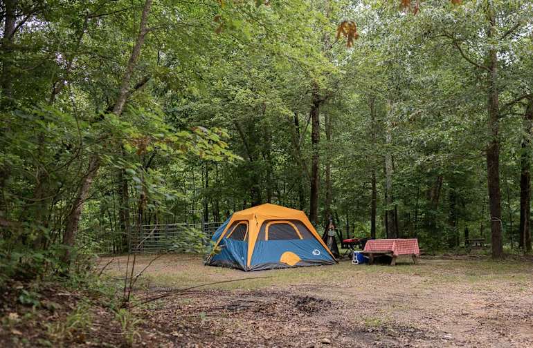 The 30 Best Campgrounds Near Hope Arkansas