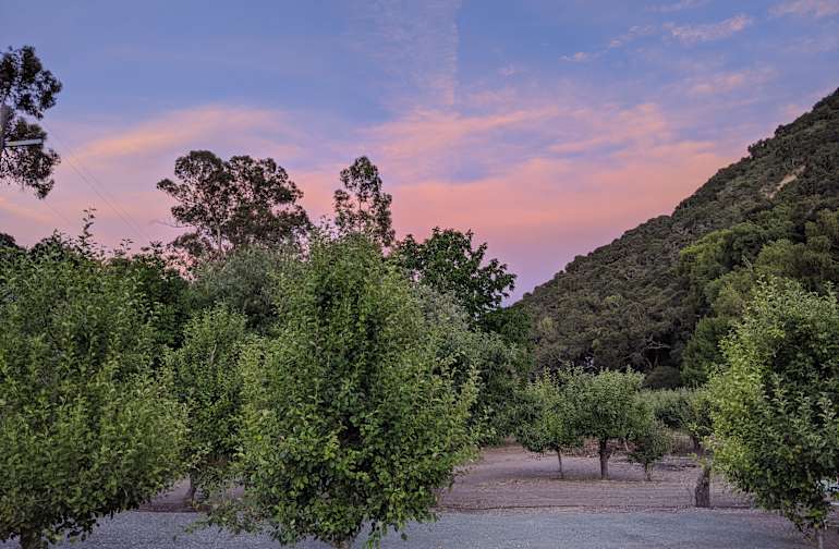 30 Best Campgrounds Along California S Central Coast