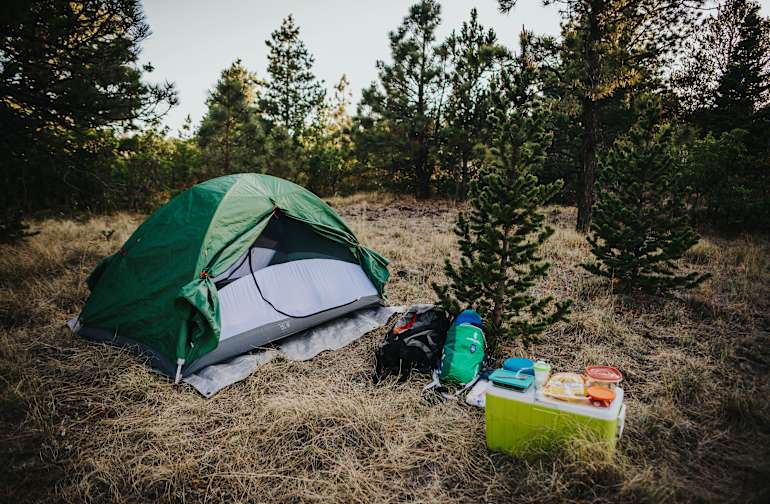 The 30 Best Campgrounds Near Springer New Mexico