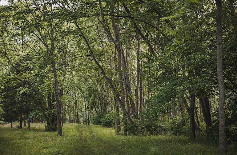 30 Best Campgrounds In West Virginia