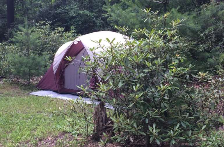 23++ Raystown lake primitive camping Trend