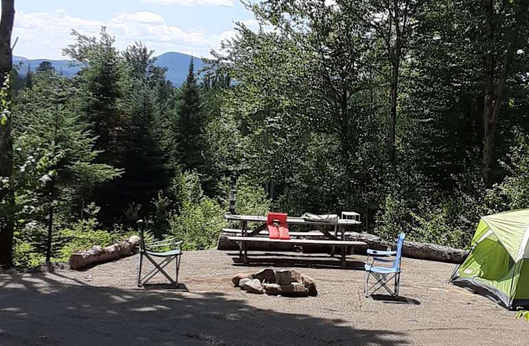 Best Camping In And Near Lake Francis State Park