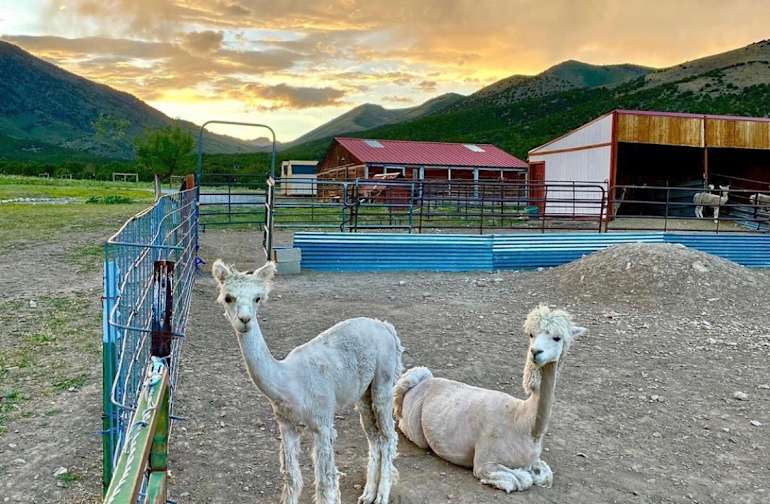 The 30 Best Campgrounds Near Eagle Mountain Utah