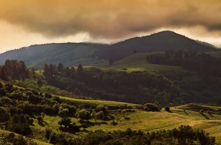 30 Camping Ideas In And Near Bighorn National Forest