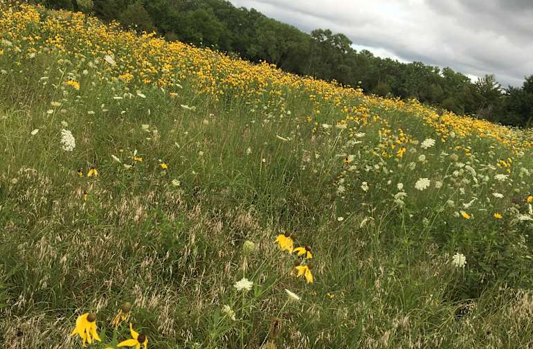 Best Camping In And Near Homestead National Monument Of America Its a way of life beyond seclusion is dedicated to finding you the very best deals saving you both time & money. homestead national monument