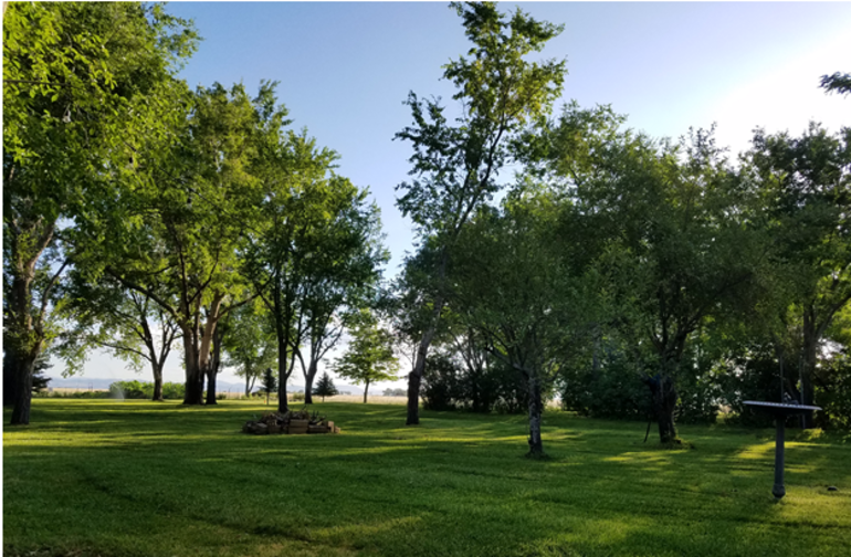Best Camping In And Near Great Basin National Park