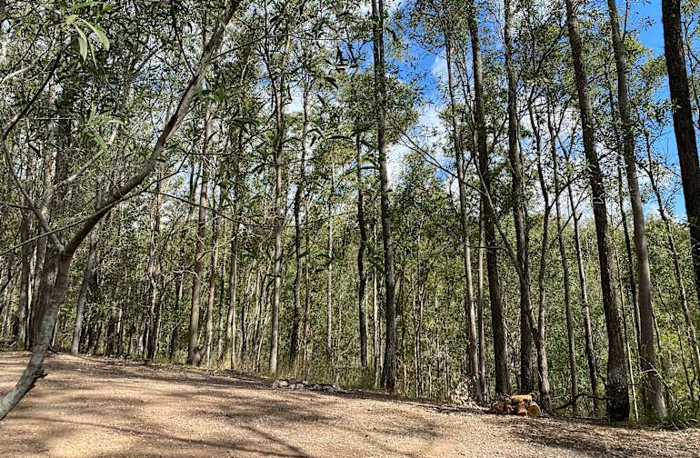 The 20 Best Campgrounds Near Brisbane Queensland